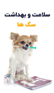 سلامت و بهداشت سگ ها