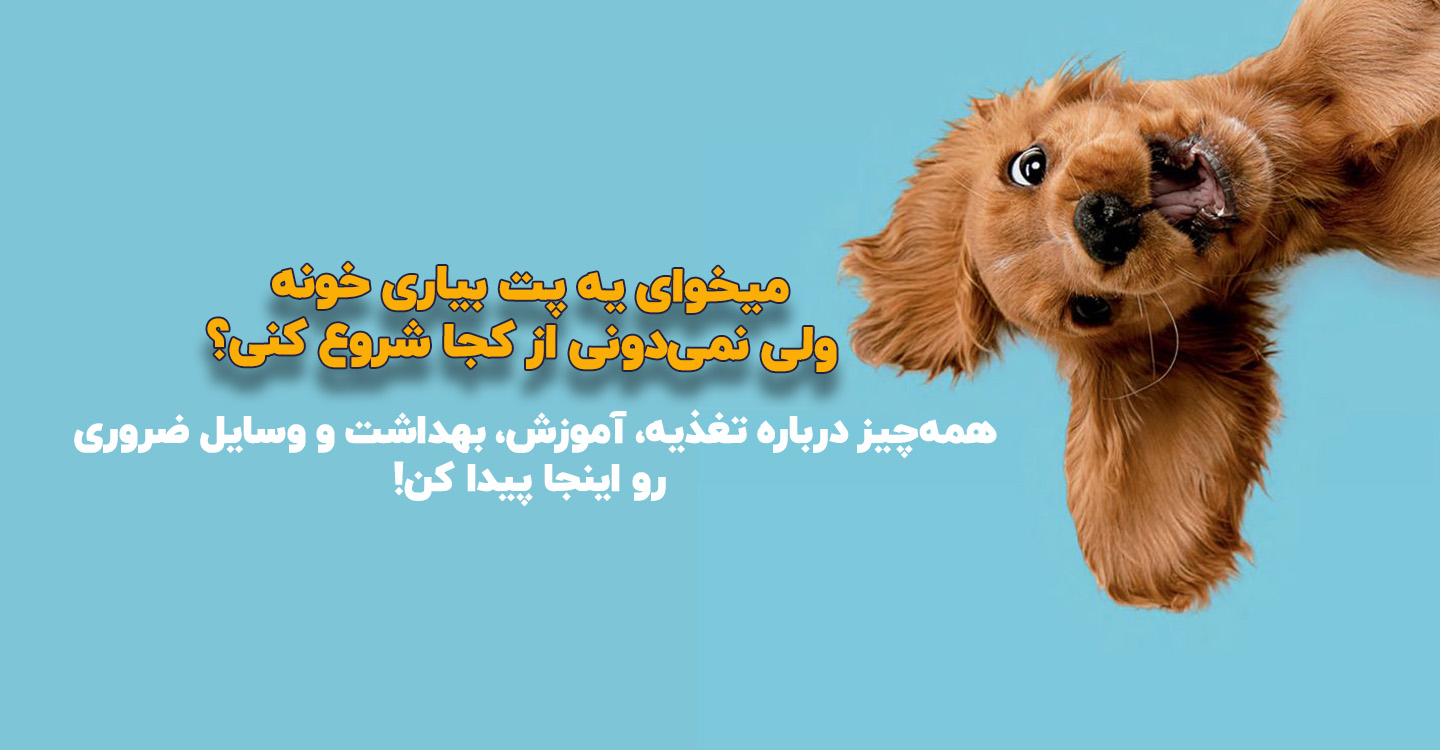 مقاله