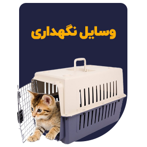 باکس