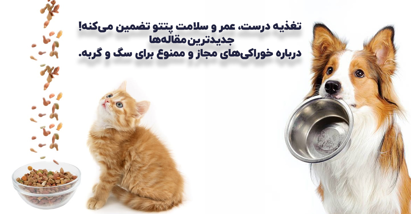 مقاله