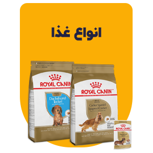 غذاخشک