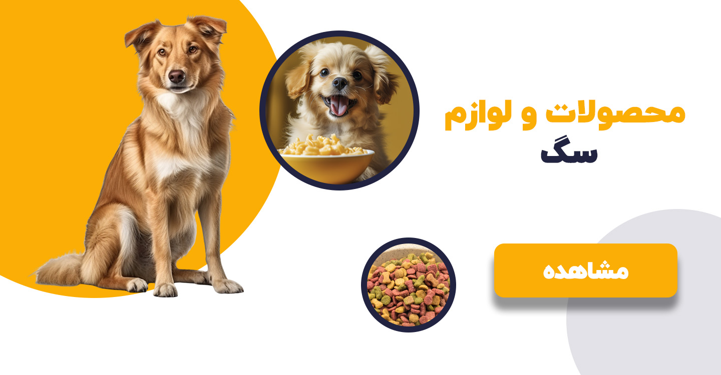 محصولات و لوازم سگ