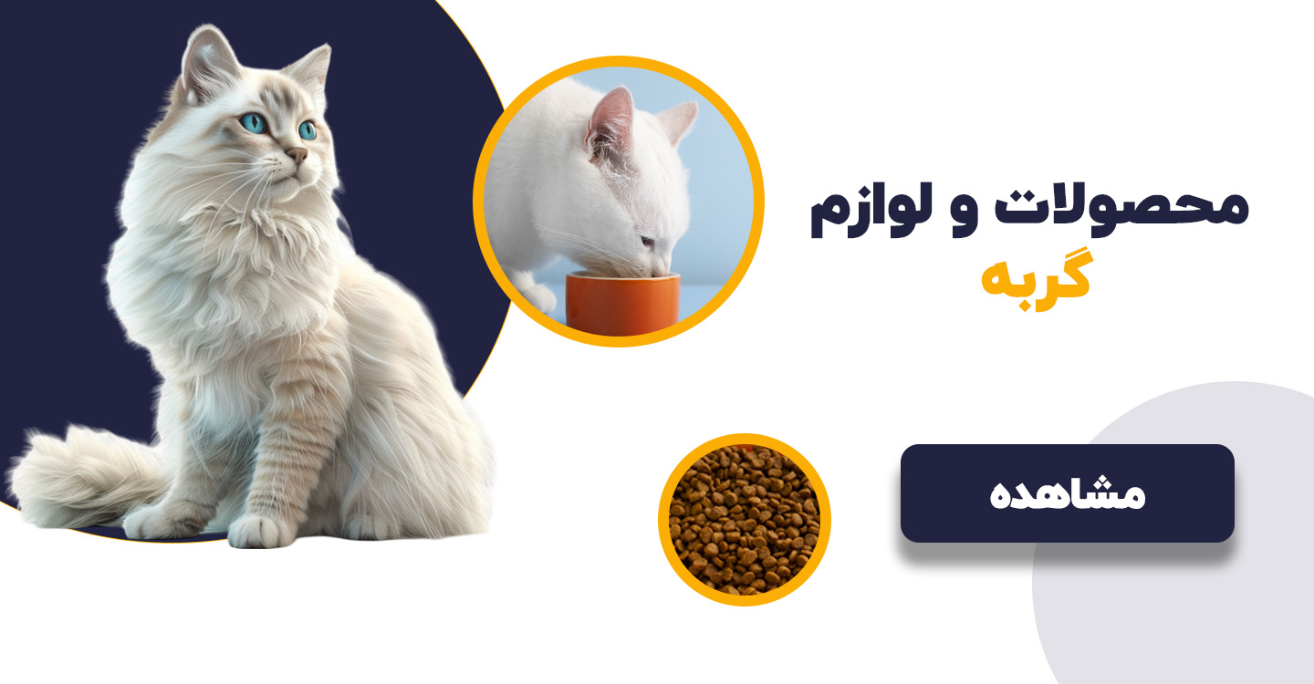محصولات و لوازم گربه