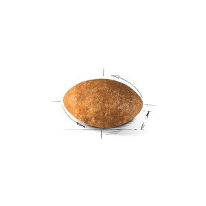 غذای خشک رویال کنین پرشین
