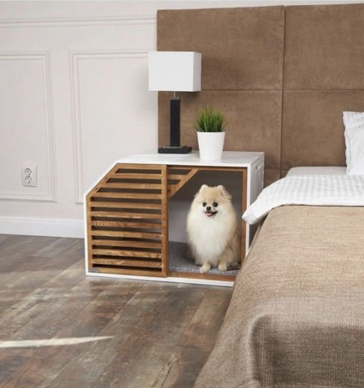 خانه سگ و گربه کد 434