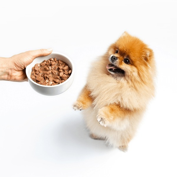 همه چیز درباره پوچ و پودینگ…