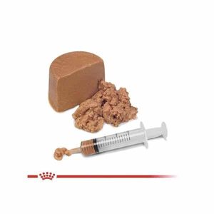 کنسرو ریکاوری گربه و سگ رویال کنین