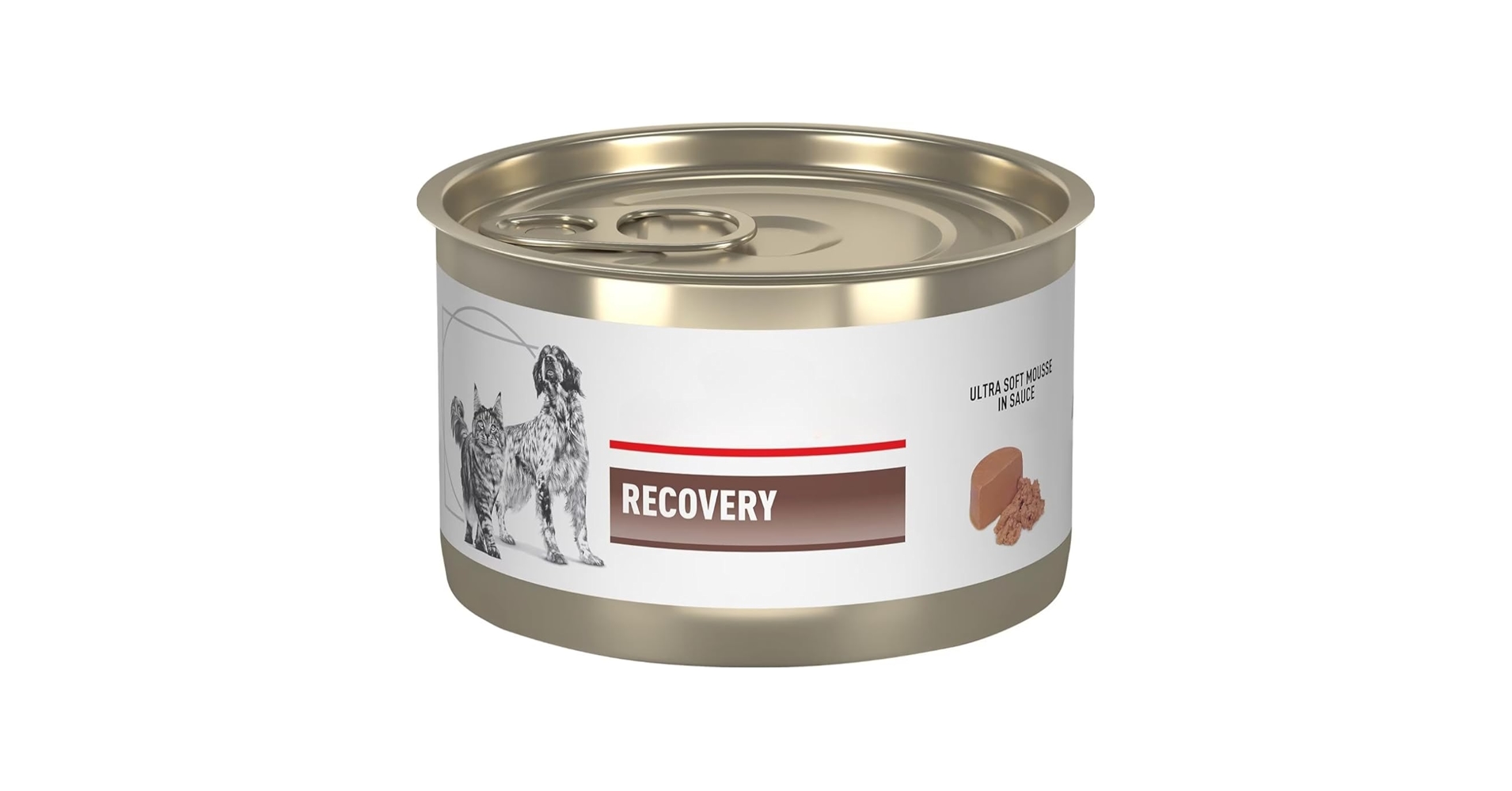 کنسرو ریکاوری سگ و گربه رویال کنین 195گرم